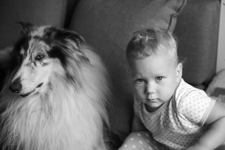 Így készíthetjük fel a kutyánkat és a macskánkat a kisbaba érkezésére