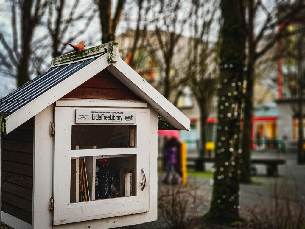 Miért élik újra virágkorukat a városi tereken felbukkanó közösségi könyvesdobozok