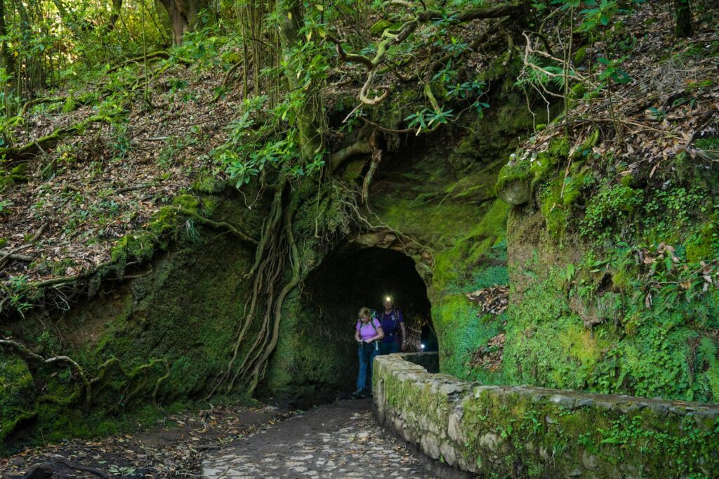 Hogyan fedezhetjük fel Madeira szigetét a túraútvonalakon keresztül