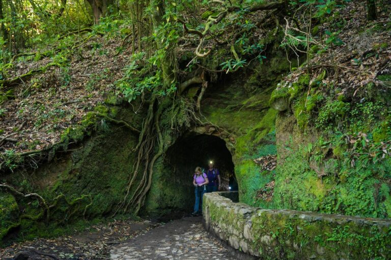 Hogyan fedezhetjük fel Madeira szigetét a túraútvonalakon keresztül