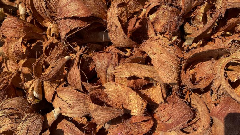 Így tarthatjuk nedvesen és gyommentesen a kerti földet természetes módszerekkel